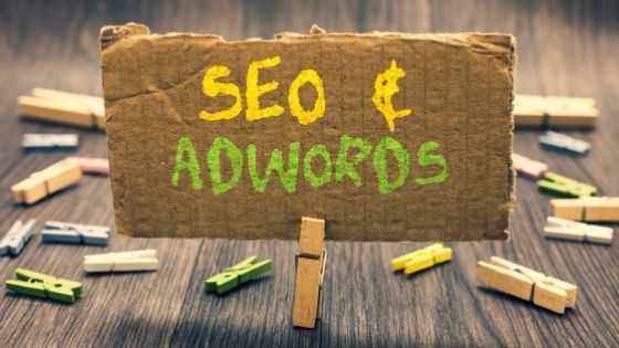 Search Engine Ranking: SEO & Paid Ads
